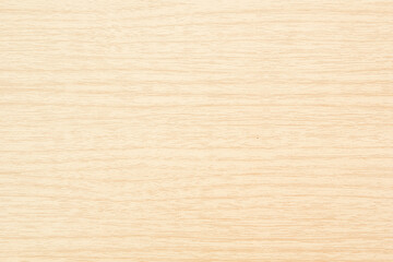 texture of bark wood use as natural background