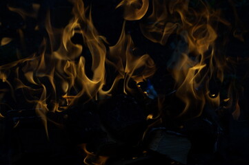 Fire
