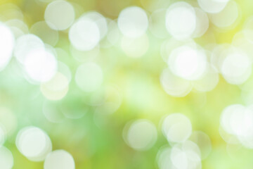 Fototapeta premium green bokeh background