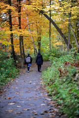 un m&egrave;re et sa fille marchent dans un bois&eacute; en automne pour aller &agrave; l'&eacute;cole