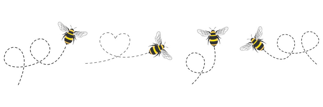 Cartoon bee icon set. Bee flying on a dotted route isolated on the white background. Vector illustration.
