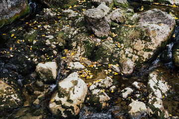 Mountain stream in the Romanian mountains.  Europe. Clear spring water flows on beautiful stony  slope. Wet shiny stones close-up. 