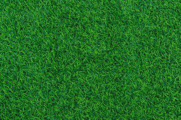 Green grass texture for background. Green lawn pattern and texture background.