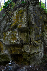 Big cliffs in forest. Large geometric rough stone rock overgrown with green moss in shadow, nature