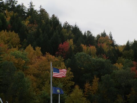 American flag and Fall foliage