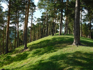 Obraz premium nature