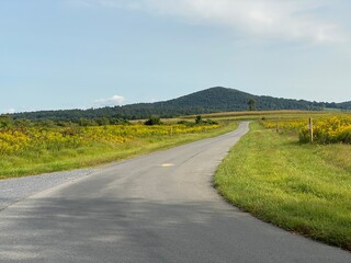 road in the countryside