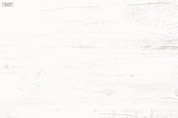 White wood pattern and texture for background. Vector.