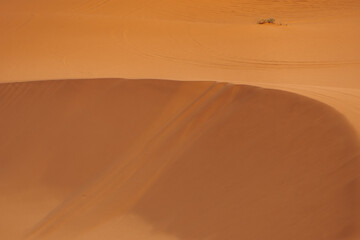 Fototapeta na wymiar sand dunes in the desert country