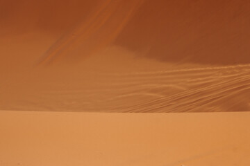 sand dunes in the desert