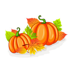 Pretty Pumpkin Vector illustration with Bouquets Harvest Autumn Fall leaves