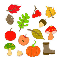 hand drawn Autumn Floral Elements  Set. Fall Floral Clipart vector illustration
