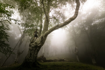 Young caucasian man exploring a foggy forest in Artikutza, Basque Country.