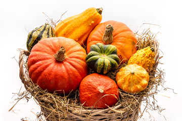 Multicolored pumpkins in a large basket with hay