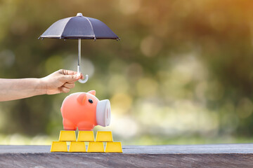Piggy bank put on the gold bar and woman hand hold the black umbrella for protect on sunlight in...