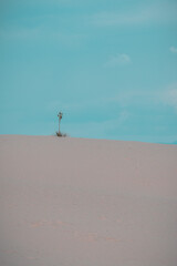 abstract sand dunes on the beach in summer with a blue sky background