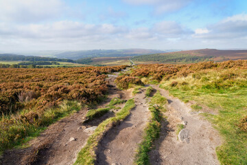 Follow the rutted footpath across a misty autumnal Derbyshire landscape