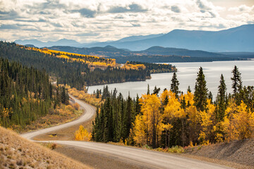 Amazing view of the road highway to Atlin, northern British Columbia with fall scenes and yellow...