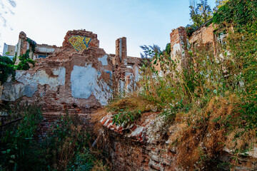 Old abandoned overgrown houses in ghost town