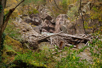 autumn in the Caucasus