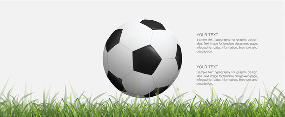 Soccer football ball on green grass field and light blurred bokeh background. Vector.