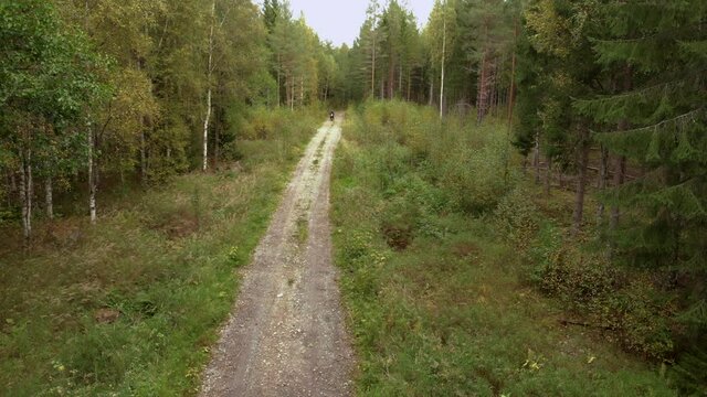 Motorcyclist appears from a corner and  drivs towards the camera on a small gravel road in the forest. No camera movements, filmed in 4K.
