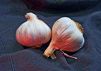 Two heads of garlic