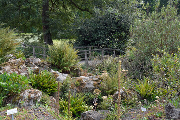 botanischer garten im schlosspark in münster, westfalen