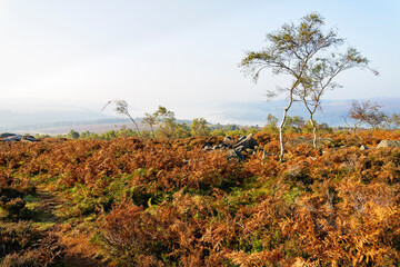 A misty autumn morning on Surprise View in the Derbyshire Peak District