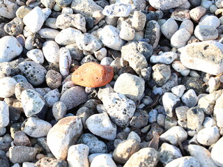 pebbles on the beach