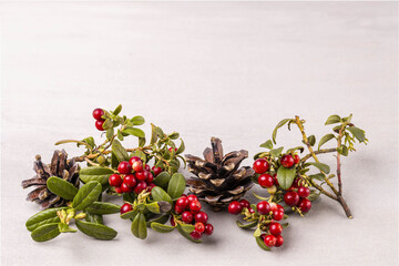 Close up view of red rowanberry branch and fir cones isolated on greey background.