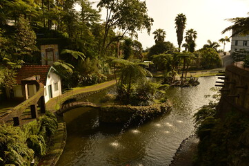 The stunning flora, fauna and architecture of the Monte Palaca Botanical Garden in Funchal, Madeira (Portugal)