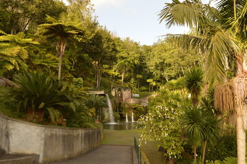 Fototapeta na wymiar The stunning flora, fauna and architecture of the Monte Palaca Botanical Garden in Funchal, Madeira (Portugal)