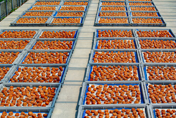 dried fruits and vegetables on the market