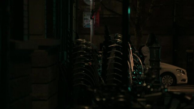 SHOT in Strasbourg (France) march 10th 2020 00:17 am
BRAIN : Nikon Z6
LENS : NIKON 70-300 f/4.5-5.6 (300 mm f/5.6)
RECORDED on Ninja Flame on Prores 422 LT
REENCODED on Prores 422 LT.