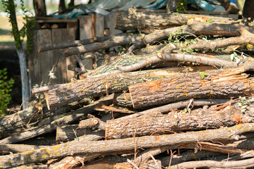 stack of wooden log cut for winter season in the countryside house yard