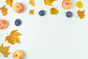 autumn flat lay on white