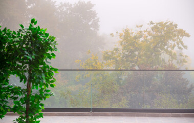 Autumn fog in the old majestic park. Colorful leaves on the trees. Artificial green plants in the shape of a green fence. Glass panels on the edge of the terrace. Outdoor summer terrace.