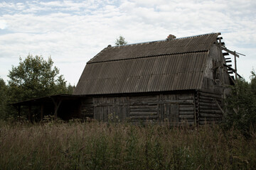 Wooden barn in the field. An old gray house in the woods. Wooden house in the grass.