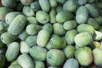 Many organic raw Ash gourd, White Gourd, white pumpkin, winter melon. Kumbalanga fruit from Kerala India