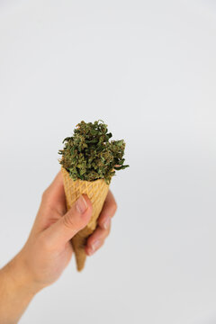 Woman's Hand Holding An Ice Cream Cone Full Of Marijuana Buds, Dried Marijuana Flowers. Isolated On White Background