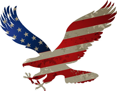 American Eagle And Flag