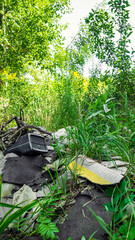 Pieces of garbage and slate among green grass and bushes in nature