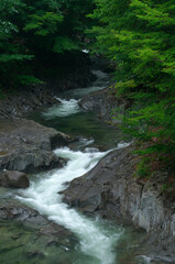 Obraz premium 中津川渓谷