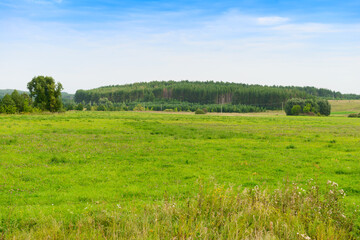 Summer landscape with green field and forest