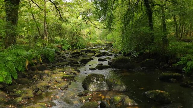Fly over the rocky wild river named Ell&eacute; in the brittany forest near the Sainte Barbe chapel, Morbihan, Bretagne, France