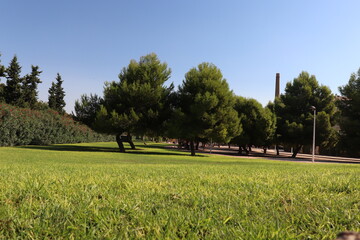 Parque verde con &aacute;rboles y hierba.