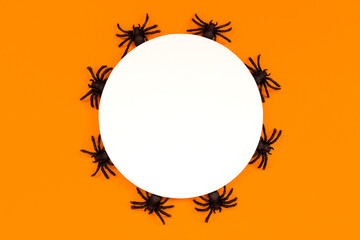 Round frame of black spiders on orange background. Top view. Flat lay. Holiday card Mock up