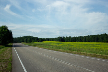 The road passes by yellow fields. Beautiful fields on the sides of the road. A road with a field on each side and a forest in front.