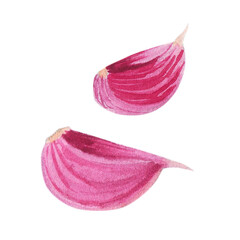 Two Fresh Garlic back and profile view pieces